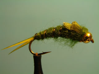 Olive Bead Head Stonefly (8)